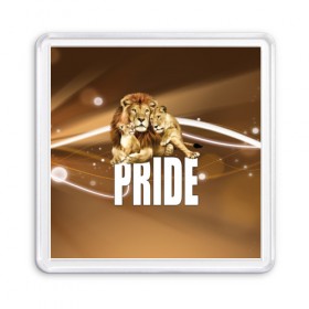 Магнит 55*55 с принтом Pride в Новосибирске, Пластик | Размер: 65*65 мм; Размер печати: 55*55 мм | Тематика изображения на принте: lion | голова животного | кот | кошка | лев | хищник | царь | цвет
