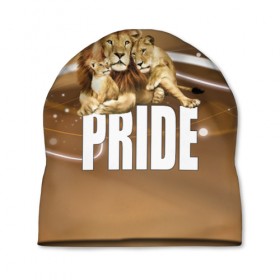 Шапка 3D с принтом Pride в Новосибирске, 100% полиэстер | универсальный размер, печать по всей поверхности изделия | Тематика изображения на принте: lion | голова животного | кот | кошка | лев | хищник | царь | цвет