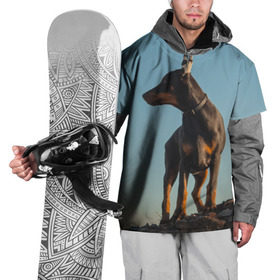 Накидка на куртку 3D с принтом Доберман в Новосибирске, 100% полиэстер |  | Тематика изображения на принте: доберман | доберманы | пес | песик | псы | собака | собаки