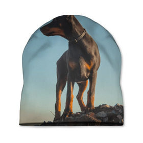 Шапка 3D с принтом Доберман в Новосибирске, 100% полиэстер | универсальный размер, печать по всей поверхности изделия | доберман | доберманы | пес | песик | псы | собака | собаки