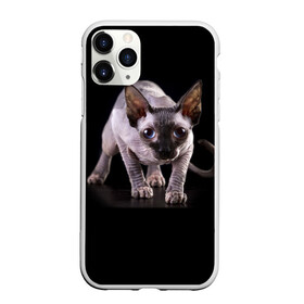 Чехол для iPhone 11 Pro матовый с принтом Сфинкс в Новосибирске, Силикон |  | взгляд | глаза | голова животного | киска | кот | котёнок | кошка | прикольные картинки