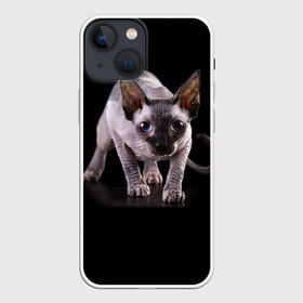 Чехол для iPhone 13 mini с принтом Сфинкс в Новосибирске,  |  | взгляд | глаза | голова животного | киска | кот | котёнок | кошка | прикольные картинки