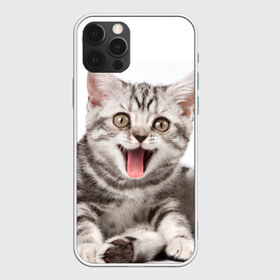 Чехол для iPhone 12 Pro Max с принтом Милашка в Новосибирске, Силикон |  | Тематика изображения на принте: кот | котенок | кошка