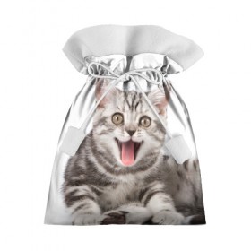 Подарочный 3D мешок с принтом Милашка в Новосибирске, 100% полиэстер | Размер: 29*39 см | Тематика изображения на принте: кот | котенок | кошка
