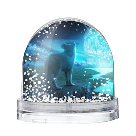 Снежный шар с принтом Blue Moon в Новосибирске, Пластик | Изображение внутри шара печатается на глянцевой фотобумаге с двух сторон | Тематика изображения на принте: пейзаж | фантастический