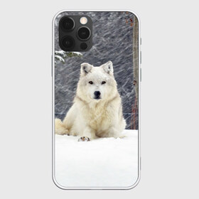 Чехол для iPhone 12 Pro Max с принтом Snow в Новосибирске, Силикон |  | белый | зима | снег