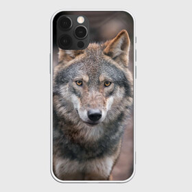 Чехол для iPhone 12 Pro Max с принтом Wolf в Новосибирске, Силикон |  | зверь | лес