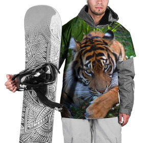 Накидка на куртку 3D с принтом Скромный тигр в Новосибирске, 100% полиэстер |  | дикие | лев | милые | новинки | орел | популярные | прикольные | природа | птицы | тигр | яркие