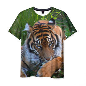 Мужская футболка 3D с принтом Скромный тигр в Новосибирске, 100% полиэфир | прямой крой, круглый вырез горловины, длина до линии бедер | Тематика изображения на принте: дикие | лев | милые | новинки | орел | популярные | прикольные | природа | птицы | тигр | яркие