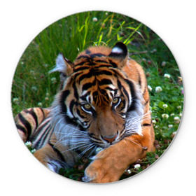 Коврик круглый с принтом Скромный тигр в Новосибирске, резина и полиэстер | круглая форма, изображение наносится на всю лицевую часть | Тематика изображения на принте: дикие | лев | милые | новинки | орел | популярные | прикольные | природа | птицы | тигр | яркие