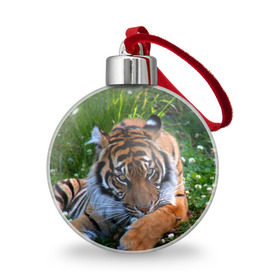 Ёлочный шар с принтом Скромный тигр в Новосибирске, Пластик | Диаметр: 77 мм | дикие | лев | милые | новинки | орел | популярные | прикольные | природа | птицы | тигр | яркие