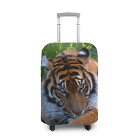 Чехол для чемодана 3D с принтом Скромный тигр в Новосибирске, 86% полиэфир, 14% спандекс | двустороннее нанесение принта, прорези для ручек и колес | дикие | лев | милые | новинки | орел | популярные | прикольные | природа | птицы | тигр | яркие