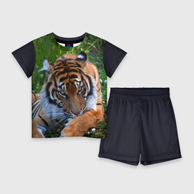 Детский костюм с шортами 3D с принтом Скромный тигр в Новосибирске,  |  | дикие | лев | милые | новинки | орел | популярные | прикольные | природа | птицы | тигр | яркие