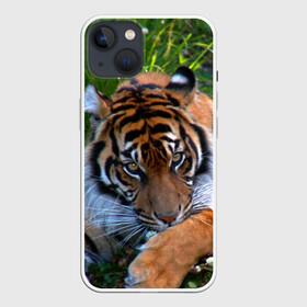 Чехол для iPhone 13 с принтом Скромный тигр в Новосибирске,  |  | дикие | лев | милые | новинки | орел | популярные | прикольные | природа | птицы | тигр | яркие