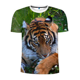 Мужская футболка 3D спортивная с принтом Скромный тигр в Новосибирске, 100% полиэстер с улучшенными характеристиками | приталенный силуэт, круглая горловина, широкие плечи, сужается к линии бедра | дикие | лев | милые | новинки | орел | популярные | прикольные | природа | птицы | тигр | яркие