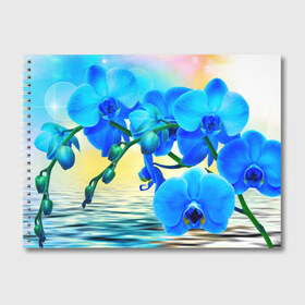 Альбом для рисования с принтом Орхидеи в Новосибирске, 100% бумага
 | матовая бумага, плотность 200 мг. | орхидея | природа | цветы
