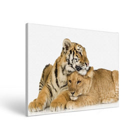 Холст прямоугольный с принтом Тигр и львица в Новосибирске, 100% ПВХ |  | Тематика изображения на принте: дикие | милые | природа | тигр | яркие