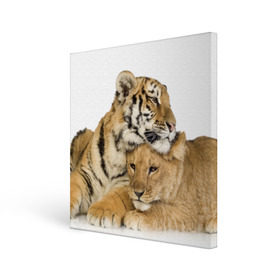 Холст квадратный с принтом Тигр и львица в Новосибирске, 100% ПВХ |  | Тематика изображения на принте: дикие | милые | природа | тигр | яркие