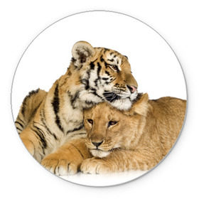 Коврик круглый с принтом Тигр и львица в Новосибирске, резина и полиэстер | круглая форма, изображение наносится на всю лицевую часть | дикие | милые | природа | тигр | яркие