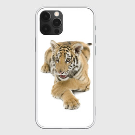 Чехол для iPhone 12 Pro Max с принтом Ласковый тигренок в Новосибирске, Силикон |  | Тематика изображения на принте: дикие | милые | природа | тигр | яркие