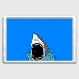 Магнит 45*70 с принтом shark в Новосибирске, Пластик | Размер: 78*52 мм; Размер печати: 70*45 | fish | ocean | shark | water | акула | море | океан | рыба