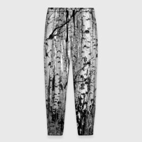 Мужские брюки 3D с принтом Березовая роща в Новосибирске, 100% полиэстер | манжеты по низу, эластичный пояс регулируется шнурком, по бокам два кармана без застежек, внутренняя часть кармана из мелкой сетки | birch | birch grove | black   white | forest | photo | trees | березовая | березы | деревья | лес | роща | фото | черно   белое