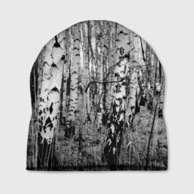 Шапка 3D с принтом Березовая роща в Новосибирске, 100% полиэстер | универсальный размер, печать по всей поверхности изделия | birch | birch grove | black   white | forest | photo | trees | березовая | березы | деревья | лес | роща | фото | черно   белое
