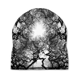 Шапка 3D с принтом Кудрявые деревья в Новосибирске, 100% полиэстер | универсальный размер, печать по всей поверхности изделия | black   white | bright | forest | photo | sun | tree | trees | деревья | кудрявые | лес | солнце | фото | черно   белое | яркое
