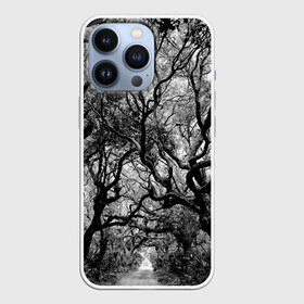 Чехол для iPhone 13 Pro с принтом Деревья в Новосибирске,  |  | black   white | crown | curly | forest | park | path | photo | thick | trees | деревья | дорожка | дремучий | крона | кудрявая | лес | парк | фото | черно   белое