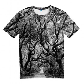 Мужская футболка 3D с принтом Деревья в Новосибирске, 100% полиэфир | прямой крой, круглый вырез горловины, длина до линии бедер | black   white | crown | curly | forest | park | path | photo | thick | trees | деревья | дорожка | дремучий | крона | кудрявая | лес | парк | фото | черно   белое