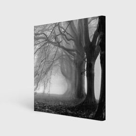 Холст квадратный с принтом Туман в лесу в Новосибирске, 100% ПВХ |  | black   white | fog | forest | morning | photo | silhouette | trees | деревья | лес | силуэт | туман | утро | фото | черно   белое