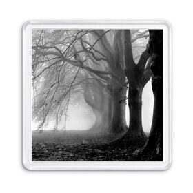 Магнит 55*55 с принтом Туман в лесу в Новосибирске, Пластик | Размер: 65*65 мм; Размер печати: 55*55 мм | black   white | fog | forest | morning | photo | silhouette | trees | деревья | лес | силуэт | туман | утро | фото | черно   белое