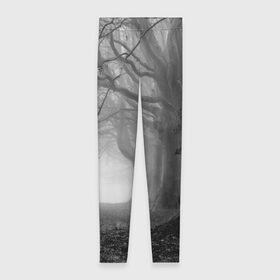 Леггинсы 3D с принтом Туман в лесу в Новосибирске, 80% полиэстер, 20% эластан | Эластичный пояс, зауженные к низу, низкая посадка | black   white | fog | forest | morning | photo | silhouette | trees | деревья | лес | силуэт | туман | утро | фото | черно   белое