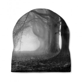 Шапка 3D с принтом Туман в лесу в Новосибирске, 100% полиэстер | универсальный размер, печать по всей поверхности изделия | black   white | fog | forest | morning | photo | silhouette | trees | деревья | лес | силуэт | туман | утро | фото | черно   белое