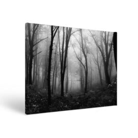 Холст прямоугольный с принтом Туман в лесу в Новосибирске, 100% ПВХ |  | black   white | fog | forest | morning | photo | silhouette | trees | деревья | лес | силуэт | туман | утро | фото | черно   белое