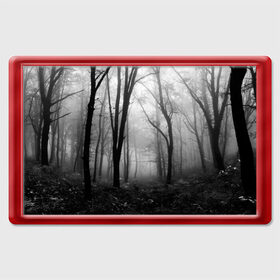 Магнит 45*70 с принтом Туман в лесу в Новосибирске, Пластик | Размер: 78*52 мм; Размер печати: 70*45 | black   white | fog | forest | morning | photo | silhouette | trees | деревья | лес | силуэт | туман | утро | фото | черно   белое
