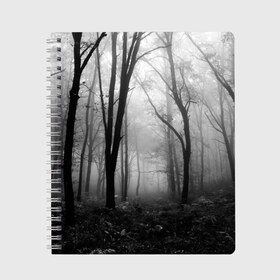 Тетрадь с принтом Туман в лесу в Новосибирске, 100% бумага | 48 листов, плотность листов — 60 г/м2, плотность картонной обложки — 250 г/м2. Листы скреплены сбоку удобной пружинной спиралью. Уголки страниц и обложки скругленные. Цвет линий — светло-серый
 | black   white | fog | forest | morning | photo | silhouette | trees | деревья | лес | силуэт | туман | утро | фото | черно   белое
