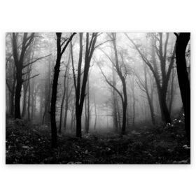 Поздравительная открытка с принтом Туман в лесу в Новосибирске, 100% бумага | плотность бумаги 280 г/м2, матовая, на обратной стороне линовка и место для марки
 | black   white | fog | forest | morning | photo | silhouette | trees | деревья | лес | силуэт | туман | утро | фото | черно   белое