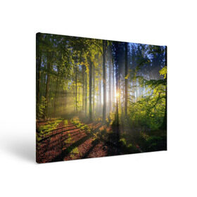 Холст прямоугольный с принтом Утро в лесу в Новосибирске, 100% ПВХ |  | Тематика изображения на принте: bright | fog | forest | morning | sun | tree | trees | дерево | деревья | лес | солнце | туман | утро | яркое