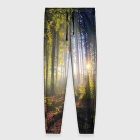 Женские брюки 3D с принтом Утро в лесу в Новосибирске, полиэстер 100% | прямой крой, два кармана без застежек по бокам, с мягкой трикотажной резинкой на поясе и по низу штанин. В поясе для дополнительного комфорта — широкие завязки | bright | fog | forest | morning | sun | tree | trees | дерево | деревья | лес | солнце | туман | утро | яркое