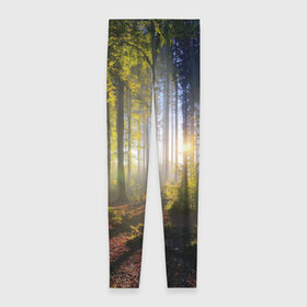 Леггинсы 3D с принтом Утро в лесу в Новосибирске, 80% полиэстер, 20% эластан | Эластичный пояс, зауженные к низу, низкая посадка | bright | fog | forest | morning | sun | tree | trees | дерево | деревья | лес | солнце | туман | утро | яркое