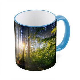 Кружка 3D с принтом Утро в лесу в Новосибирске, керамика | ёмкость 330 мл | Тематика изображения на принте: bright | fog | forest | morning | sun | tree | trees | дерево | деревья | лес | солнце | туман | утро | яркое