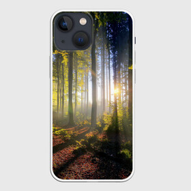 Чехол для iPhone 13 mini с принтом Утро в лесу в Новосибирске,  |  | bright | fog | forest | morning | sun | tree | trees | дерево | деревья | лес | солнце | туман | утро | яркое