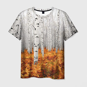 Мужская футболка 3D с принтом Березовая роща в Новосибирске, 100% полиэфир | прямой крой, круглый вырез горловины, длина до линии бедер | birch | birch grove | ferns | forest | trees | березовая | березы | деревья | лес | папоротник | роща