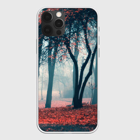 Чехол для iPhone 12 Pro с принтом Осень в Новосибирске, силикон | область печати: задняя сторона чехла, без боковых панелей | autumn | bright | colors | forest | paint | trees | деревья | краски | лес | осень | цвета | яркие
