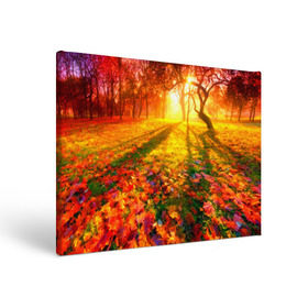 Холст прямоугольный с принтом Осень в Новосибирске, 100% ПВХ |  | autumn | bright | colors | forest | trees | деревья | краски | лес | лучи | осень | солнце | цвета | яркие