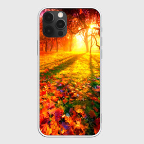 Чехол для iPhone 12 Pro с принтом Осень в Новосибирске, силикон | область печати: задняя сторона чехла, без боковых панелей | autumn | bright | colors | forest | trees | деревья | краски | лес | лучи | осень | солнце | цвета | яркие