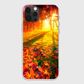 Чехол для iPhone 12 Pro Max с принтом Осень в Новосибирске, Силикон |  | Тематика изображения на принте: autumn | bright | colors | forest | trees | деревья | краски | лес | лучи | осень | солнце | цвета | яркие