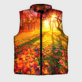 Мужской жилет утепленный 3D с принтом Осень в Новосибирске,  |  | autumn | bright | colors | forest | trees | деревья | краски | лес | лучи | осень | солнце | цвета | яркие