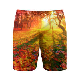 Мужские шорты 3D спортивные с принтом Осень в Новосибирске,  |  | autumn | bright | colors | forest | trees | деревья | краски | лес | лучи | осень | солнце | цвета | яркие